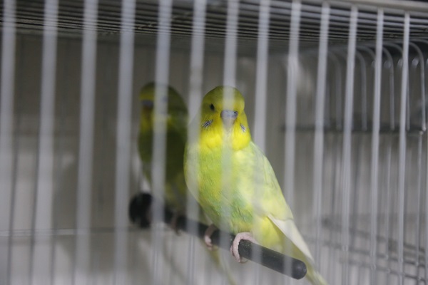 Foto - Önceden hissediyorlar iddiası! Deprem sonrası satışlar patladı