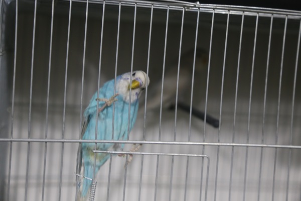 Foto - Önceden hissediyorlar iddiası! Deprem sonrası satışlar patladı