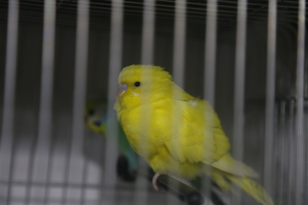 Foto - Önceden hissediyorlar iddiası! Deprem sonrası satışlar patladı