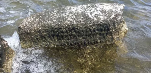 Foto - Öncesinde kimse bilmiyordu! Ortaya çıkan şey hayrete düşürdü! Koruma altına alındı!
