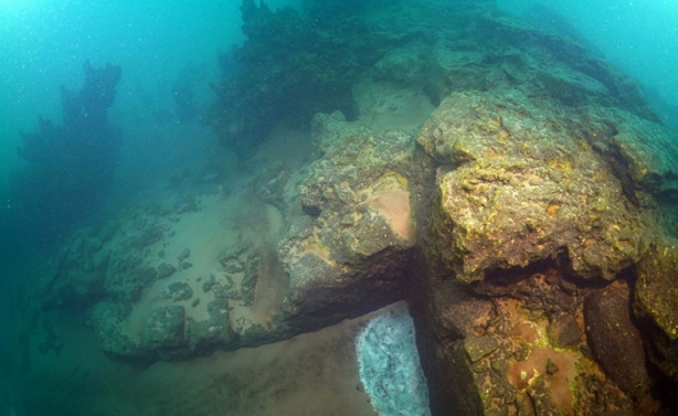 Foto - Öncesinde kimse bilmiyordu! Ortaya çıkan şey hayrete düşürdü! Koruma altına alındı!