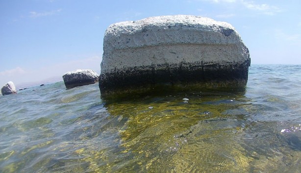 Foto - Öncesinde kimse bilmiyordu! Ortaya çıkan şey hayrete düşürdü! Koruma altına alındı!