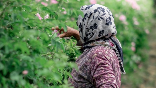 Foto - Ondan dudak uçuklatan kazanç sağlıyorlar! Yanlış duymadınız! Litresi 258 bin TL
