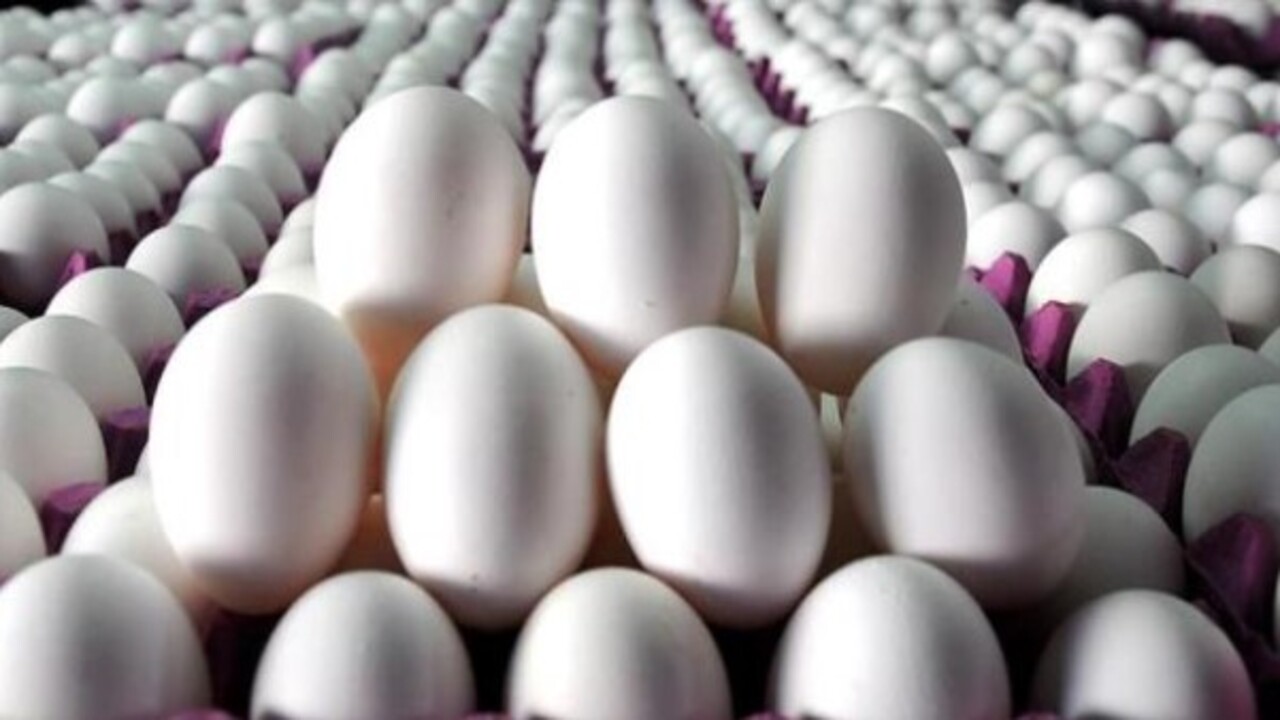 Foto - Önemsiz gibi gözüküyor ama..! Bakın yumurtanın üstündeki rakamlar ne işe yarıyor