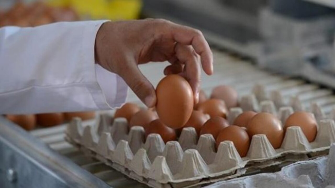 Foto - Önemsiz gibi gözüküyor ama..! Bakın yumurtanın üstündeki rakamlar ne işe yarıyor