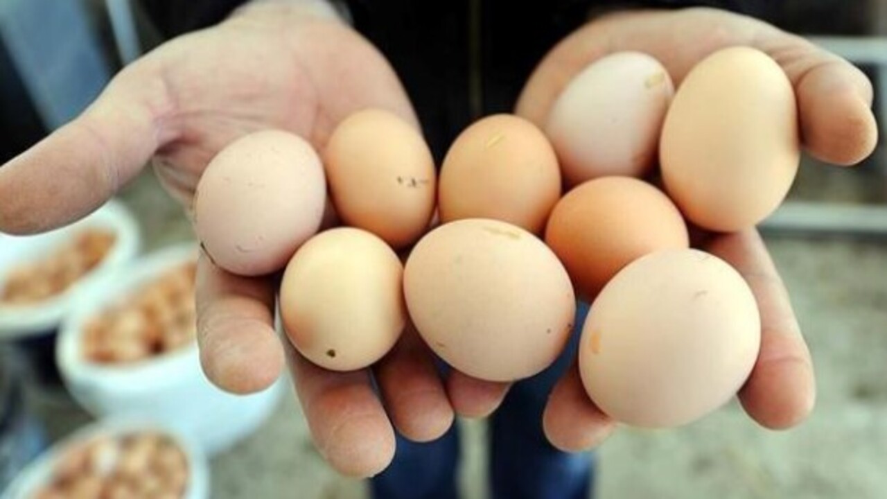 Foto - Önemsiz gibi gözüküyor ama..! Bakın yumurtanın üstündeki rakamlar ne işe yarıyor