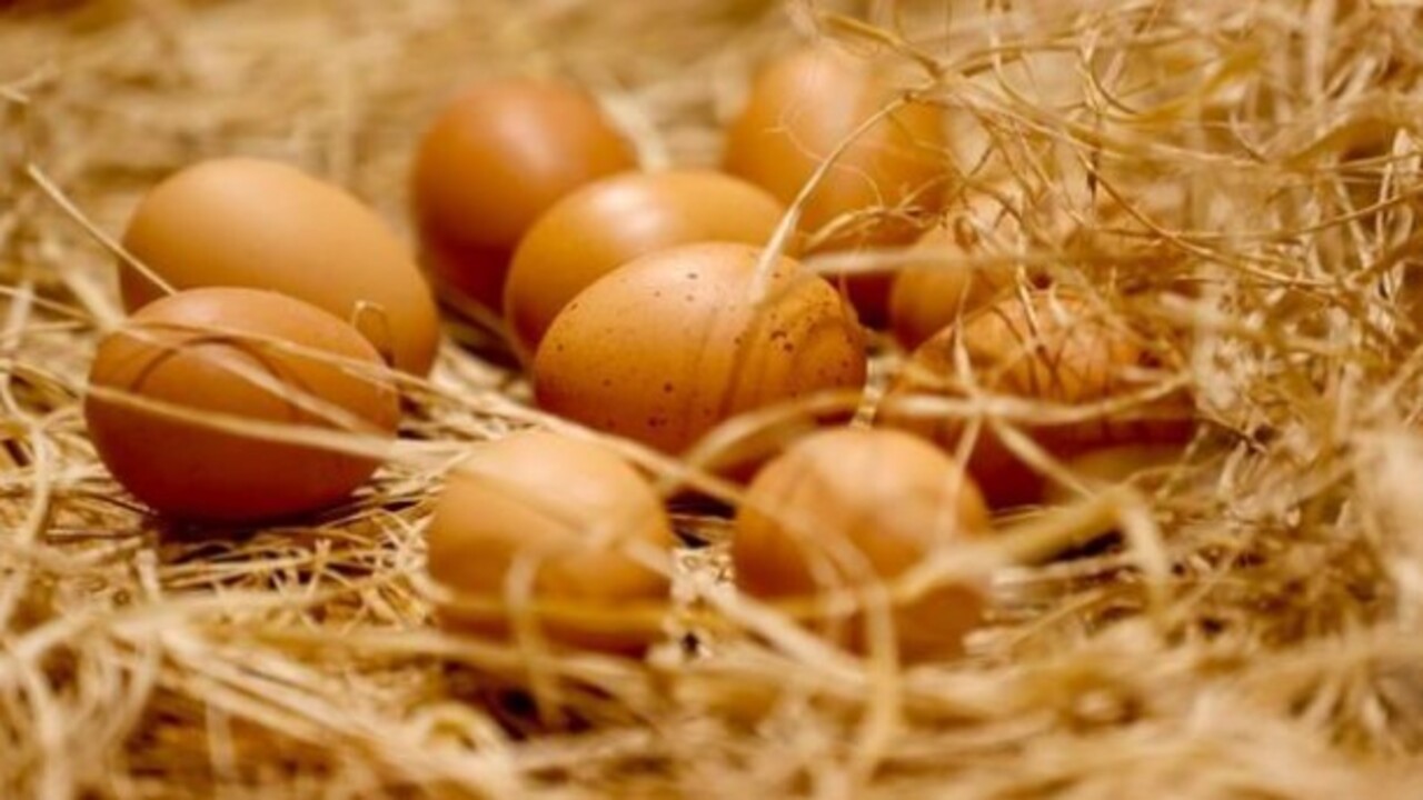 Önemsiz gibi gözüküyor ama..! Bakın yumurtanın üstündeki rakamlar ne işe yarıyor