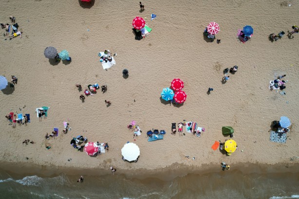 Onlar da serinlemek istiyor! Plajda sürpriz misafirler