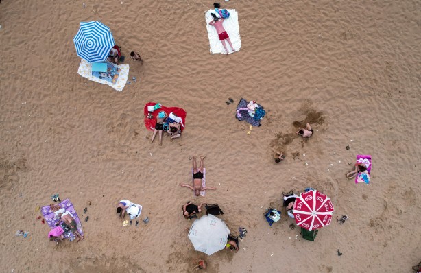 Foto - Onlar da serinlemek istiyor! Plajda sürpriz misafirler