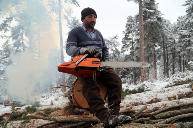 Foto - Onlar ekmeklerini taştan değil, ormandan çıkarıyorlar!