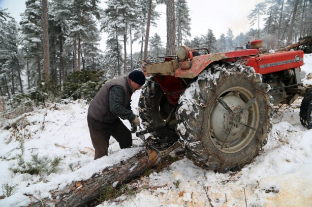 Foto - Onlar ekmeklerini taştan değil, ormandan çıkarıyorlar!