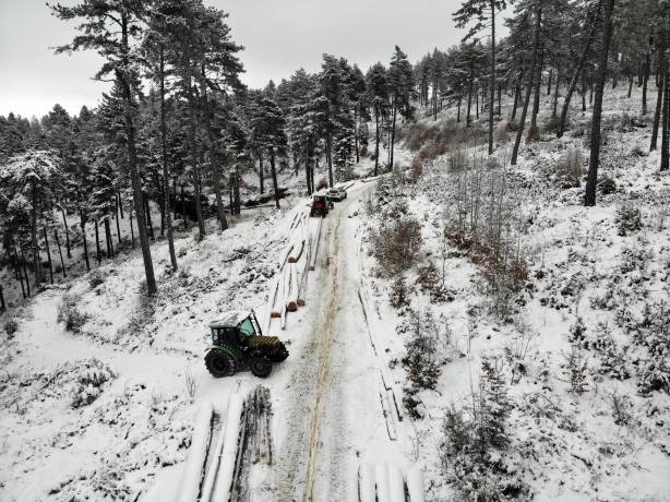 Foto - Onlar ekmeklerini taştan değil, ormandan çıkarıyorlar!