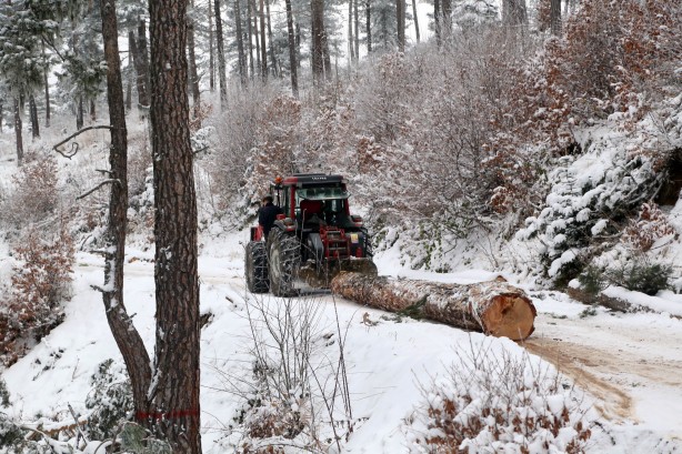 Foto - Onlar ekmeklerini taştan değil, ormandan çıkarıyorlar!