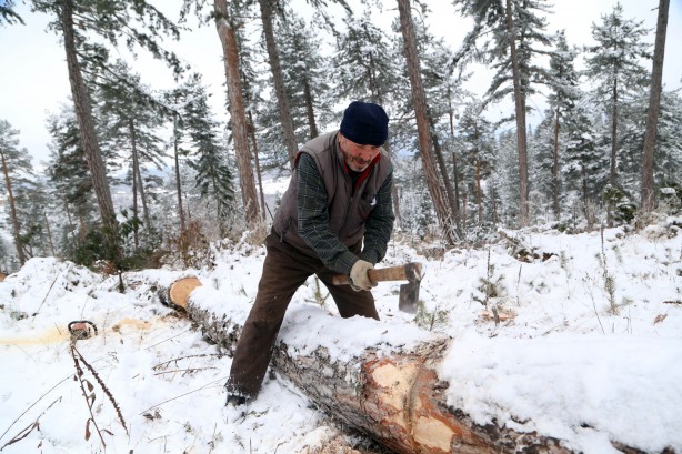 Foto - Onlar ekmeklerini taştan değil, ormandan çıkarıyorlar!
