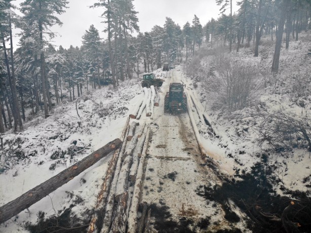 Foto - Onlar ekmeklerini taştan değil, ormandan çıkarıyorlar!