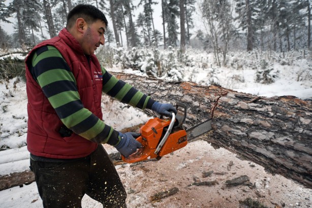 Foto - Onlar ekmeklerini taştan değil, ormandan çıkarıyorlar!