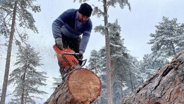 Foto - Onlar ekmeklerini taştan değil, ormandan çıkarıyorlar!