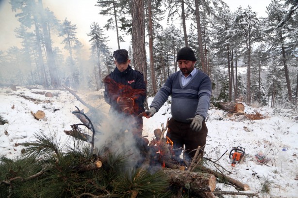Foto - Onlar ekmeklerini taştan değil, ormandan çıkarıyorlar!
