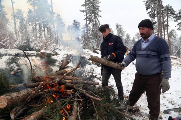 Foto - Onlar ekmeklerini taştan değil, ormandan çıkarıyorlar!