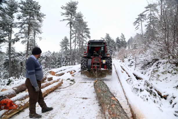 Foto - Onlar ekmeklerini taştan değil, ormandan çıkarıyorlar!