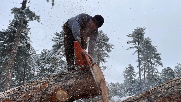 Foto - Onlar ekmeklerini taştan değil, ormandan çıkarıyorlar!