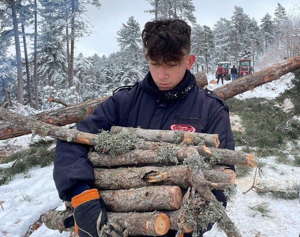Onlar ekmeklerini taştan değil, ormandan çıkarıyorlar!