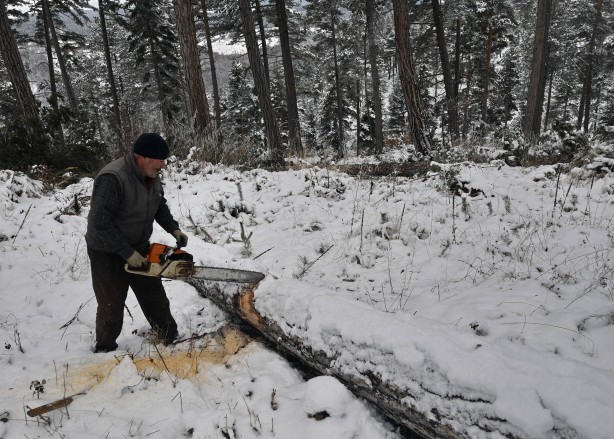 Foto - Onlar ekmeklerini taştan değil, ormandan çıkarıyorlar!