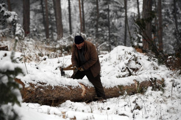 Foto - Onlar ekmeklerini taştan değil, ormandan çıkarıyorlar!