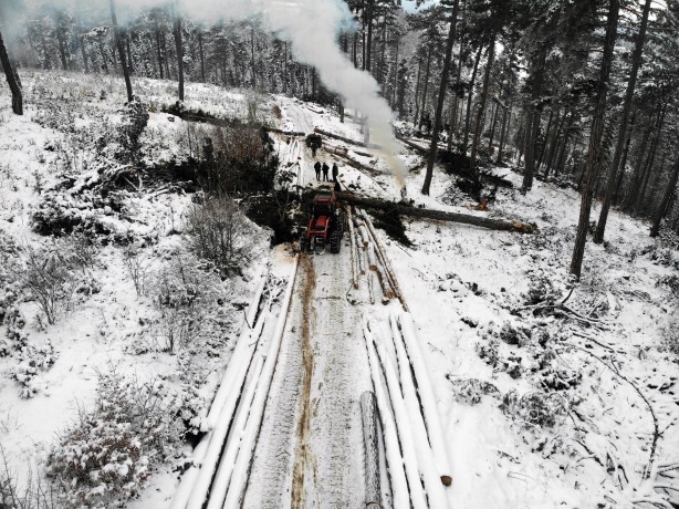 Foto - Onlar ekmeklerini taştan değil, ormandan çıkarıyorlar!