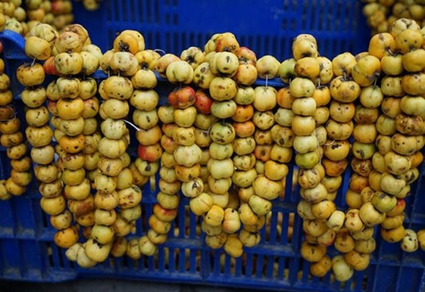 Foto - Onlar sıradan besinler değil! İşte şifalı yiyecekler