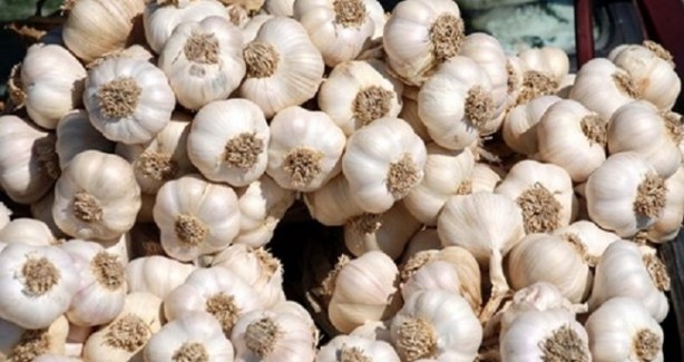 Foto - Onlar sıradan besinler değil! İşte şifalı yiyecekler