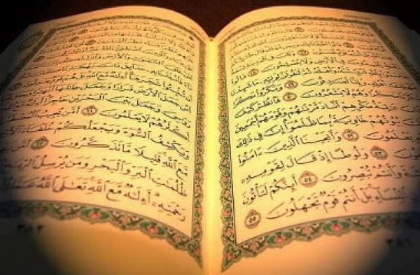 Foto - Onlar sıradan besinler değil! İşte şifalı yiyecekler