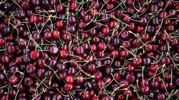 Foto - Onlar sıradan besinler değil! İşte şifalı yiyecekler