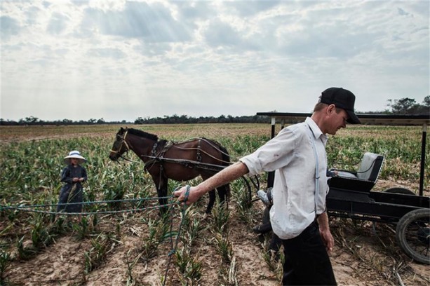 Foto - Onlar teknolojiyi reddediyor