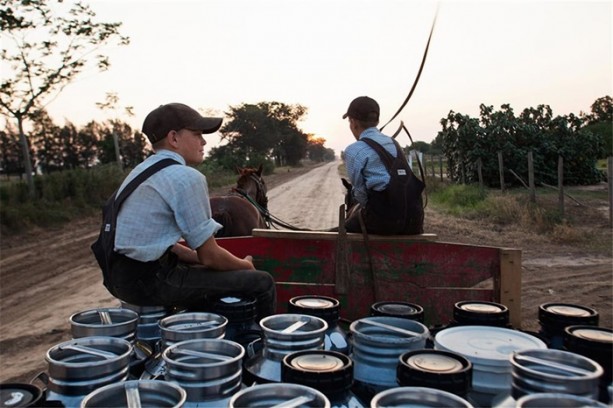 Foto - Onlar teknolojiyi reddediyor