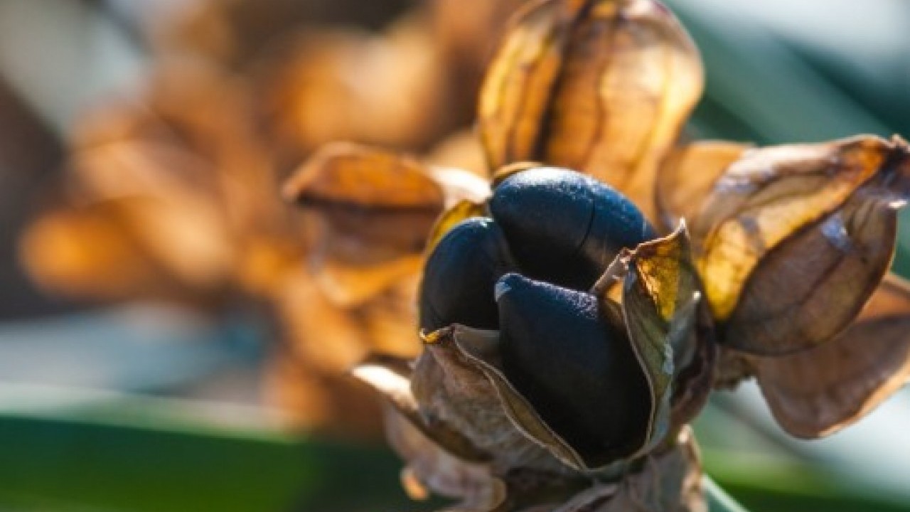 Foto - Onlara dokunmadan önce iyi düşünün: Cezası tam 557 bin lira!