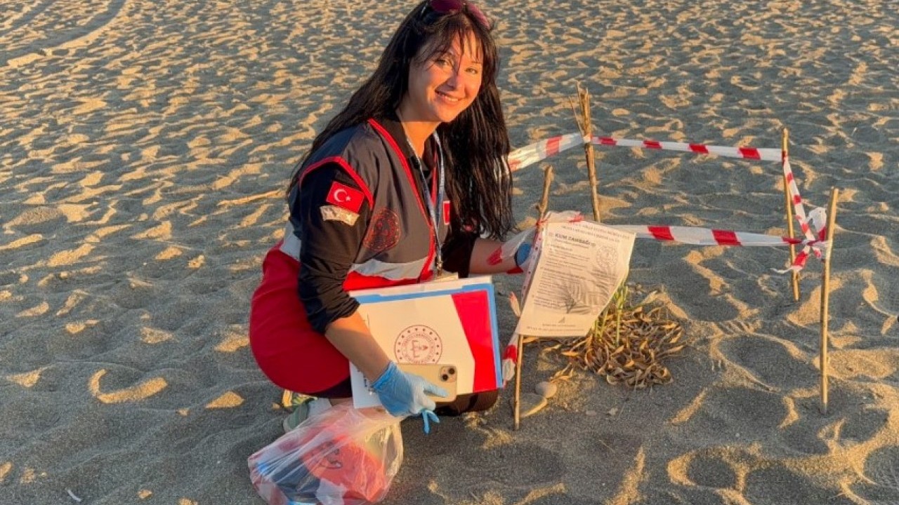 Onlara dokunmadan önce iyi düşünün: Cezası tam 557 bin lira!