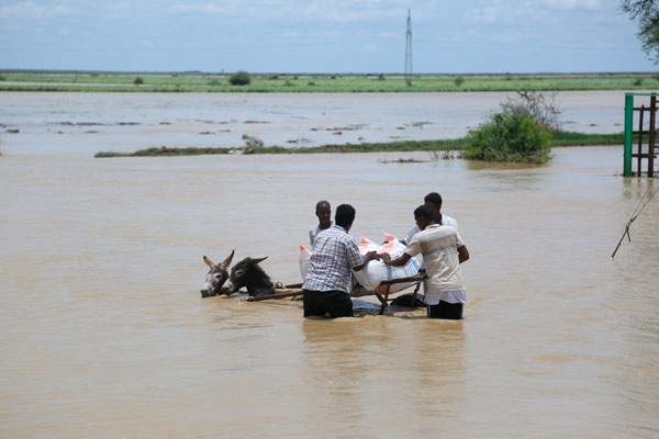 Foto - Onlarca kişi hayatını kaybetmişti... Yürek yakan görüntüler