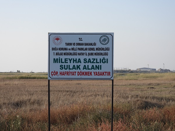 Foto - Onlarca kuş türene ev sahipliği yapıyordu! Sulak alan bu hale geldi