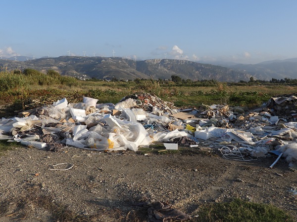 Foto - Onlarca kuş türene ev sahipliği yapıyordu! Sulak alan bu hale geldi