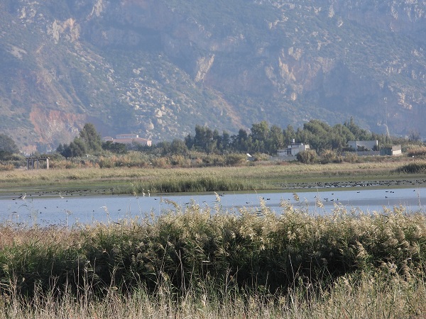 Foto - Onlarca kuş türene ev sahipliği yapıyordu! Sulak alan bu hale geldi