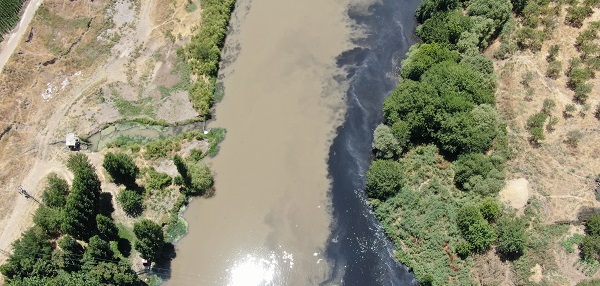 Onlarca kuş türüne ev sahipliği yapıyor! Dicle Nehri'nde korkutan manzara
