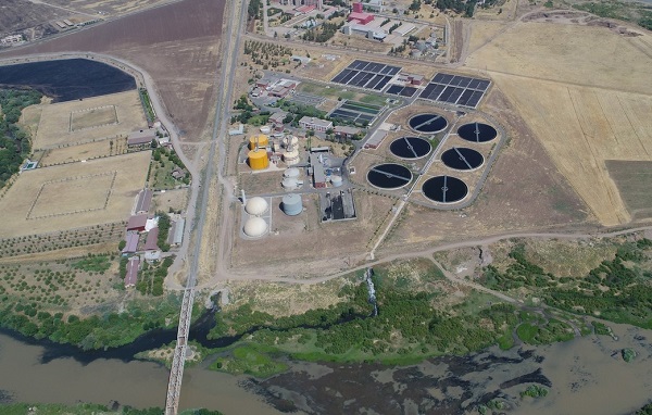 Foto - Onlarca kuş türüne ev sahipliği yapıyor! Dicle Nehri'nde korkutan manzara