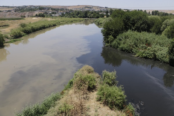Foto - Onlarca kuş türüne ev sahipliği yapıyor! Dicle Nehri'nde korkutan manzara