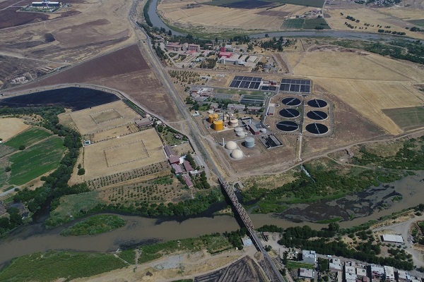 Foto - Onlarca kuş türüne ev sahipliği yapıyor! Dicle Nehri'nde korkutan manzara