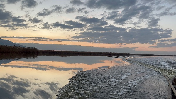 Foto - Onlarca kuş türünün yaşadığı gölde suların yüzde 80'i çekildi! Gölde su derinliği bir karışa düştü