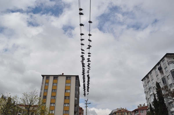 Foto - Onlarca kuşun buluşma noktası | Kuşlar bu büfenin önünden ayrılmıyor! 