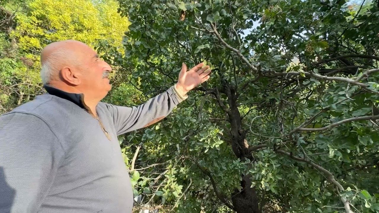 Foto - Onlarca sene bakımsız kaldı, 50 yıl sonra gelir kapısı oldu! "Yüksekova’da olmaz" denileni yaptılar