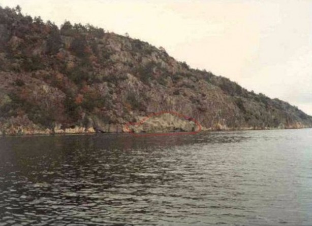 Foto - Onları görebilmek neredeyse imkansız