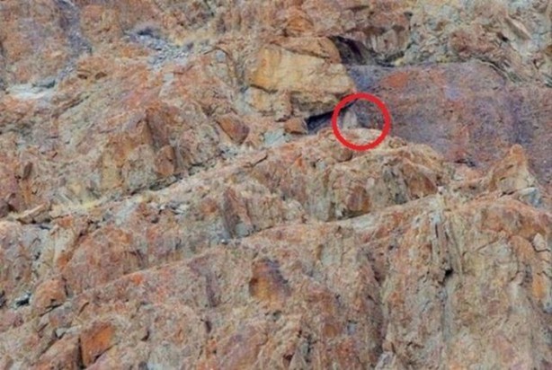 Foto - Onları görebilmek neredeyse imkansız